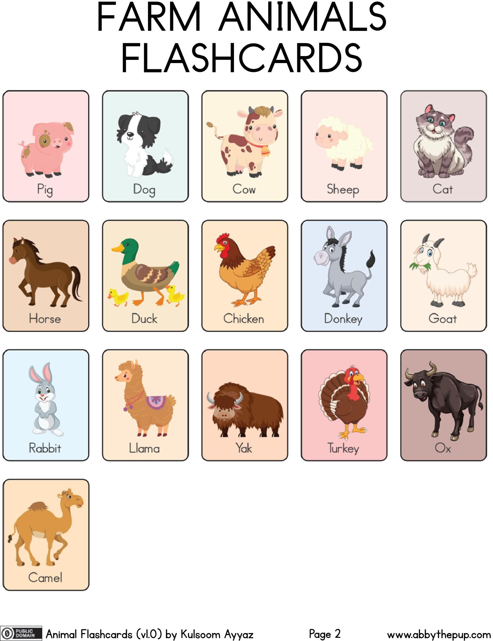 Amazing Animals Around the World - Image 2